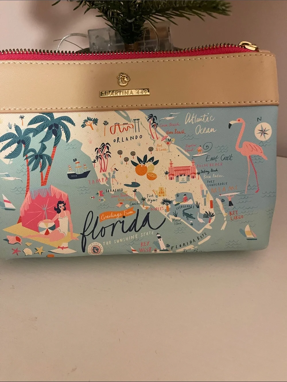 Spartina 449 Florida Map Zip Clutch in Pink and Cream with Aqua Accents